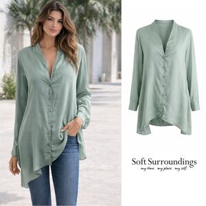 NEW Soft Surrounding Laurel Tunic in dusk Green